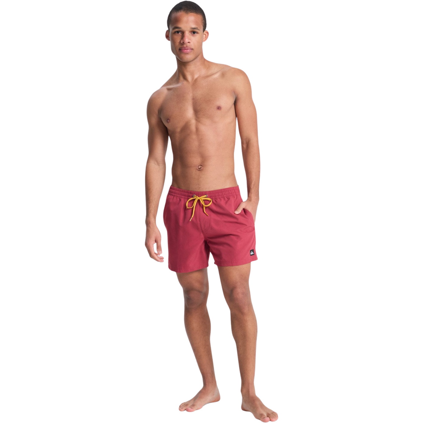 2026 Quiksilver Mens Everyday Volley 15